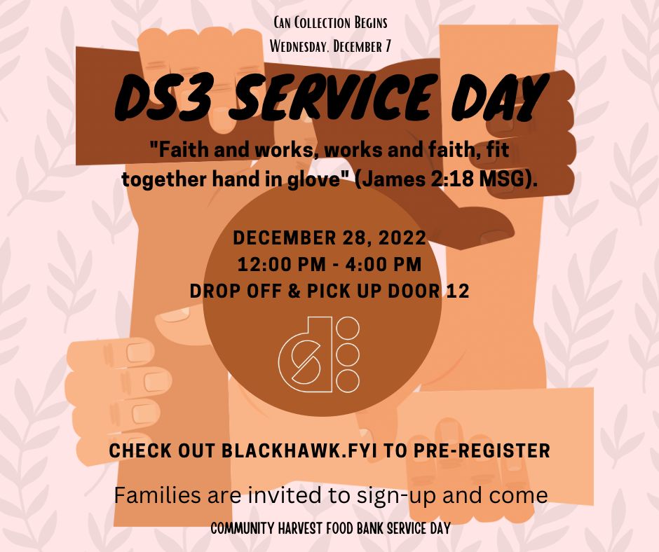 DS3 Service Day