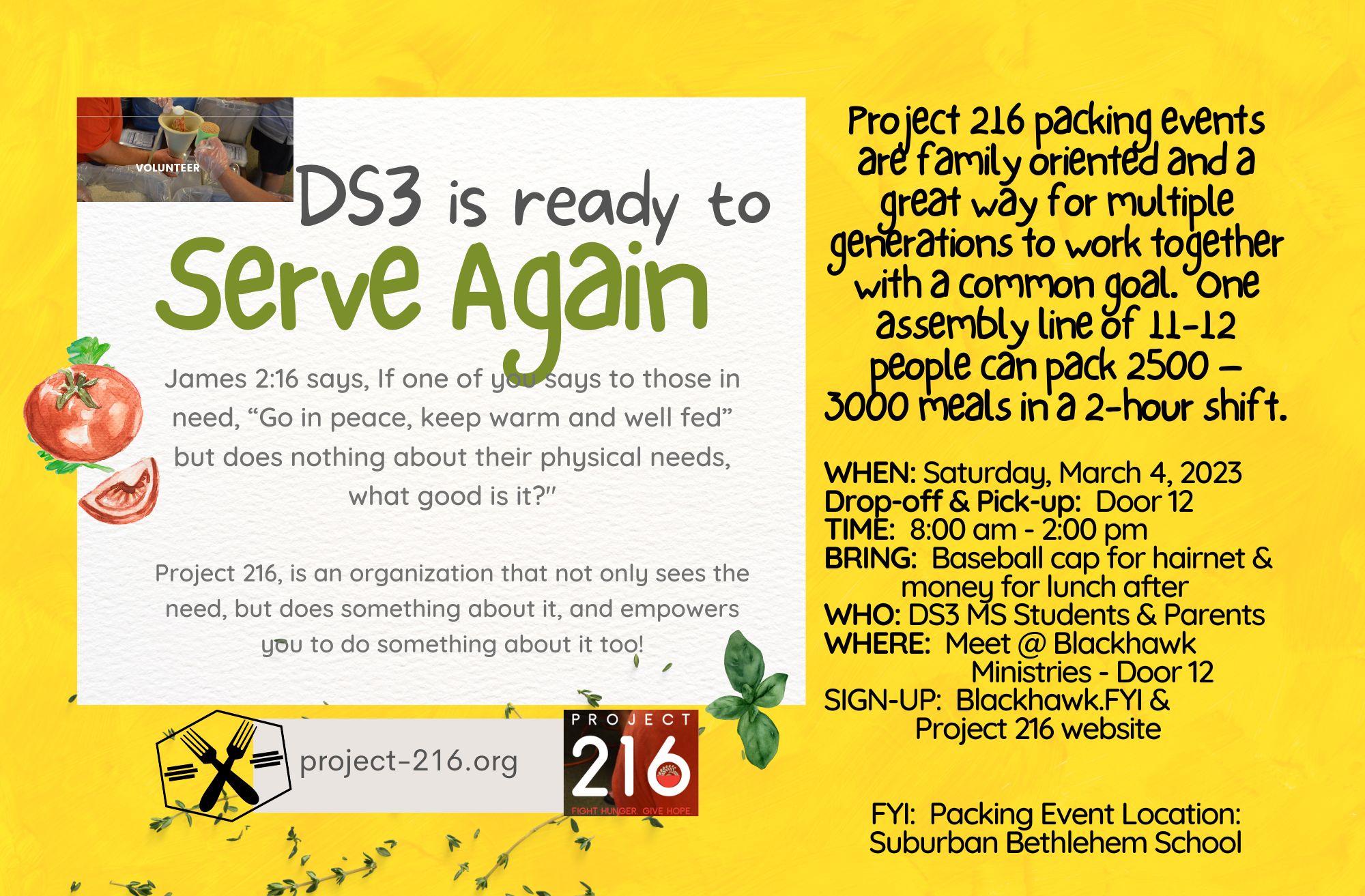 DS3 Serve Project 216
